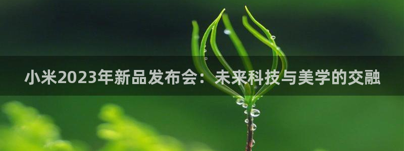 万向娱乐体育官网登录：小米2023年新品发布会：未来科技与美学的交融