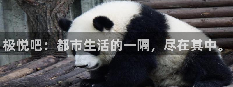 万向娱乐体育凯捷平台主管：极悦吧：都市生活的一隅，尽在其中。