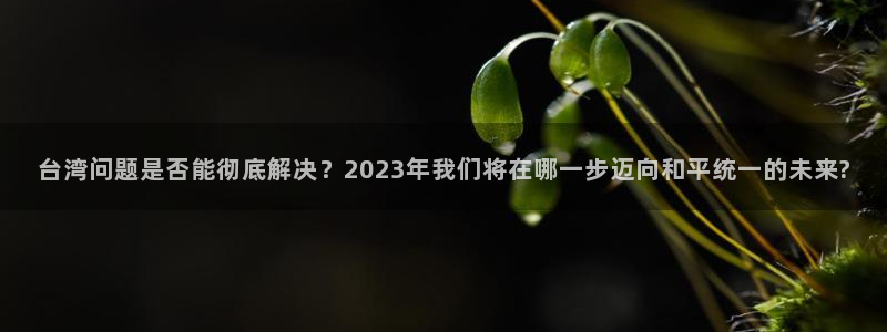 万向娱乐体育游戏：台湾问题是否能彻底解决？2023年我们将在哪一步迈向和平统一的
