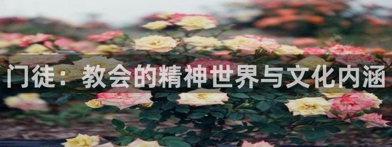 万向娱乐集团总部：门徒：教会的精神世界与文化内涵
