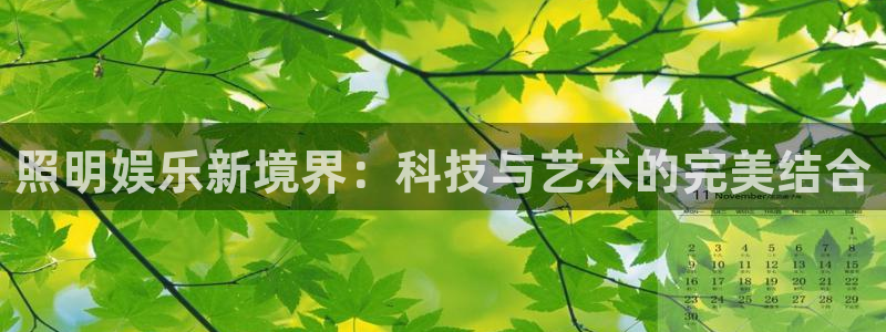 万向娱乐体育和杏耀是哪个公司的：照明娱乐新境界：科技与艺术的完美结合