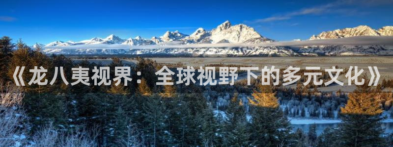 万向娱乐游戏有哪些好玩的：《龙八夷视界：全球视野下的多元文化》