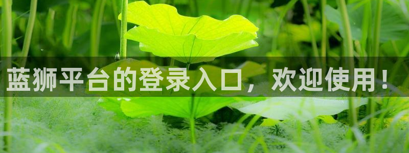 万向娱乐能源：蓝狮平台的登录入口，欢迎使用！