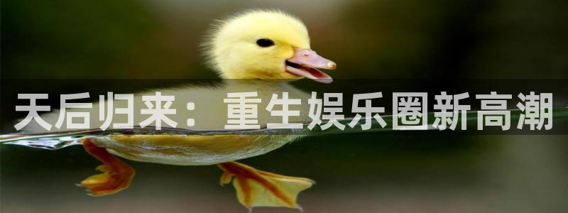 万向娱乐体育和杏耀是哪个公司的：天后归来：重生娱乐圈新高潮