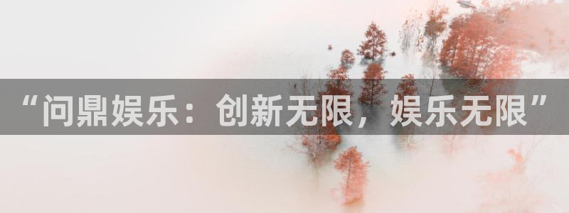 万向娱乐平台招商：“问鼎娱乐：创新无限，娱乐无限”