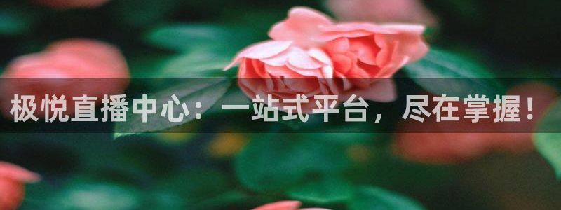 万向娱乐体育1招商：极悦直播中心：一站式平台，尽在掌握！