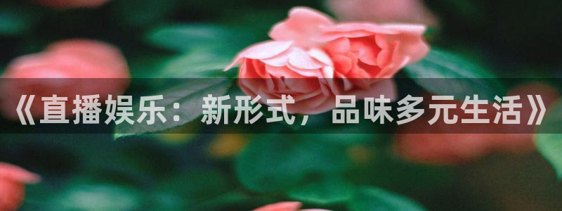 万向娱乐体育代理申请流程：《直播娱乐：新形式，品味多元生活》