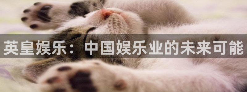 万向娱乐体育3：英皇娱乐：中国娱乐业的未来可能
