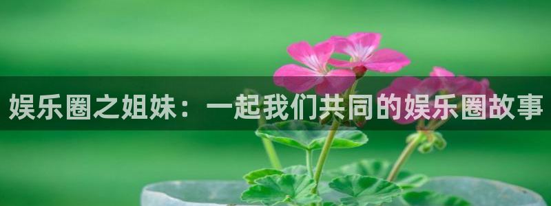 万向娱乐体育免费注册入口：娱乐圈之姐妹：一起我们共同的娱乐圈故事