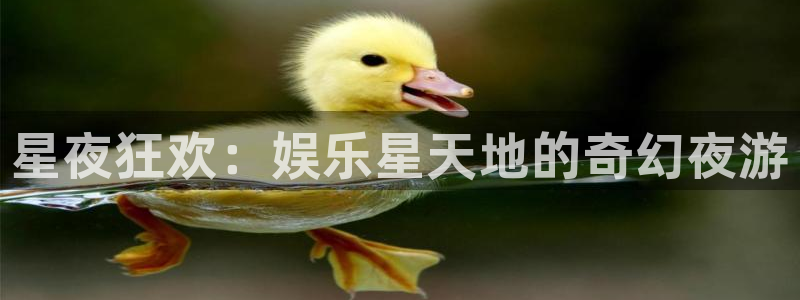 万向娱乐招商：星夜狂欢：娱乐星天地的奇幻夜游
