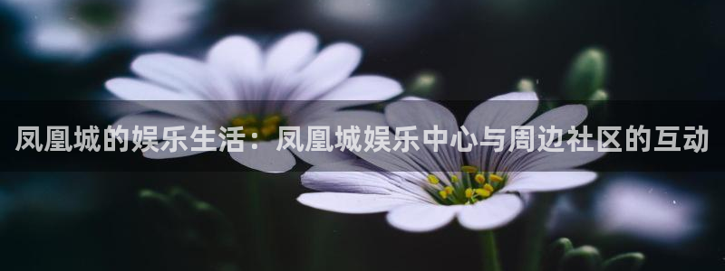 万向娱乐体育网页版入口：凤凰城的娱乐生活：凤凰城娱乐中心与周边社区的互动