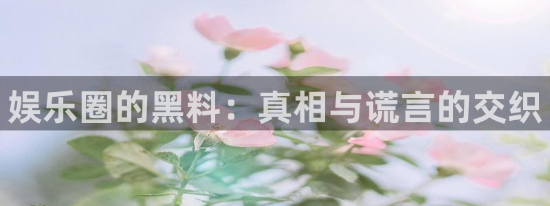 万向娱乐kgame：娱乐圈的黑料：真相与谎言的交织