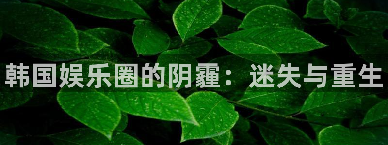 万向娱乐集团官网：韩国娱乐圈的阴霾：迷失与重生