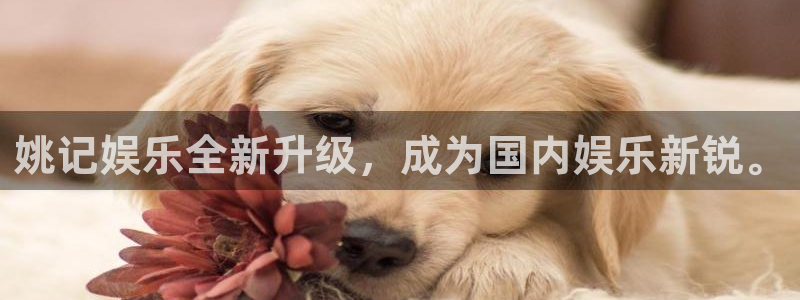 万向娱乐vk：姚记娱乐全新升级，成为国内娱乐新锐。
