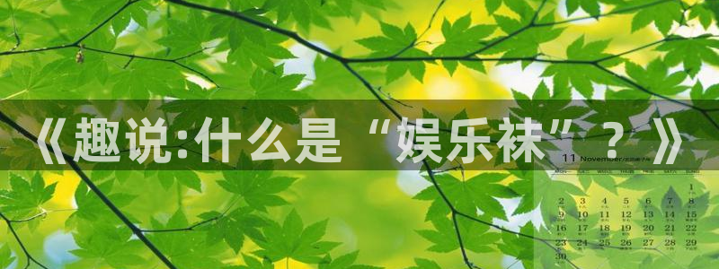 万向娱乐主管：《趣说:什么是“娱乐袜”？》