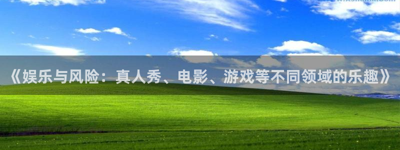 万向娱乐官网：《娱乐与风险：真人秀、电影、游戏等不同领域的乐趣》