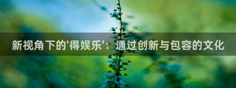 万向娱乐体育1招商：新视角下的\'得娱乐\'：通过创新与包容的文化