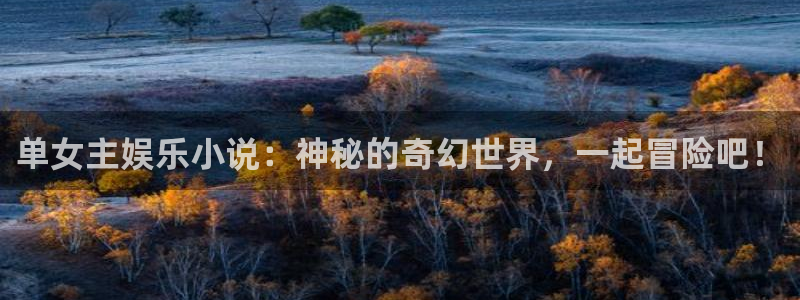 万向娱乐股份：单女主娱乐小说：神秘的奇幻世界，一起冒险吧！