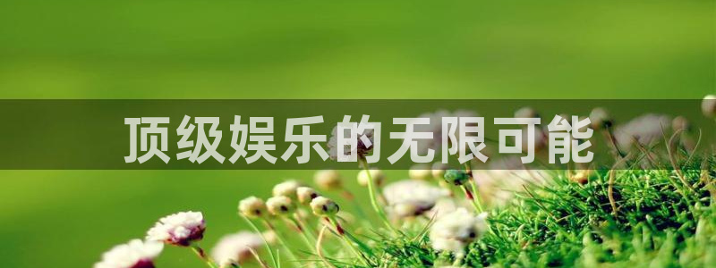 万向娱乐平台注册入口：顶级娱乐的无限可能