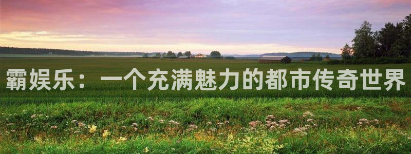 万向娱乐4登录：霸娱乐：一个充满魅力的都市传奇世界