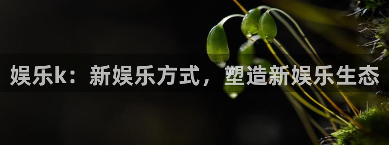 万向娱乐3代理：娱乐k：新娱乐方式，塑造新娱乐生态