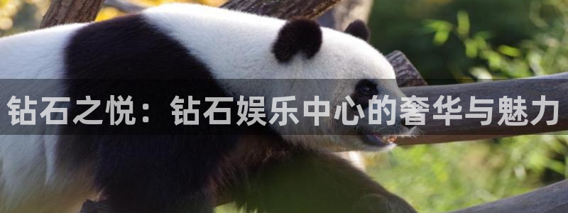 万向娱乐kgame：钻石之悦：钻石娱乐中心的奢华与魅力