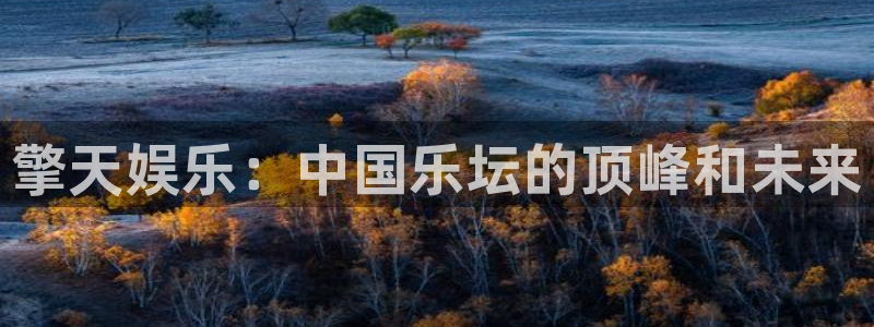 万向娱乐体育2：擎天娱乐：中国乐坛的顶峰和未来