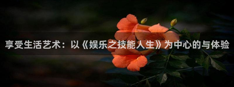 万向娱乐电子有限公司：享受生活艺术：以《娱乐之技能人生》为中心的与体验
