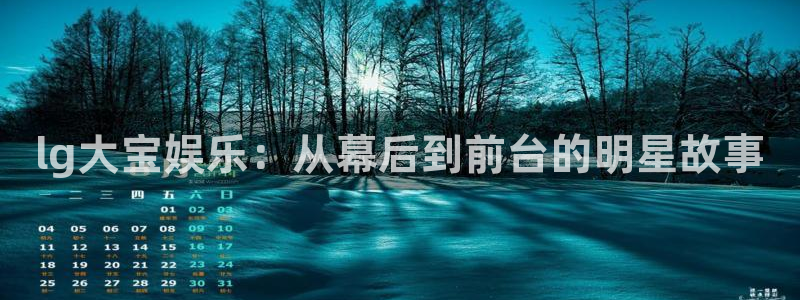 万向娱乐平台注册：lg大宝娱乐：从幕后到前台的明星故事
