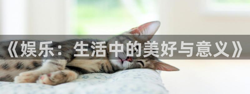 上海万向娱乐汽车电子有限公司：《娱乐：生活中的美好与意义》