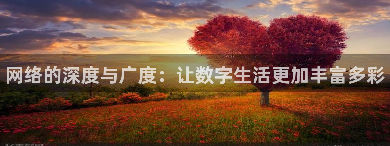 万向娱乐3代理：网络的深度与广度：让数字生活更加丰富多彩