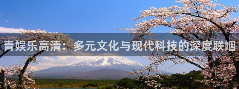 万向娱乐凯捷平台注册链接：青娱乐高清：多元文化与现代科技的深度联姻