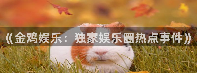 万向娱乐体育论坛：《金鸡娱乐：独家娱乐圈热点事件》