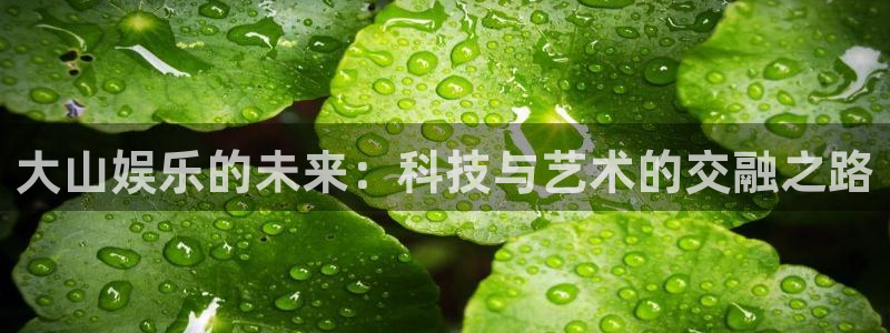 万向娱乐体育网页版入口：大山娱乐的未来：科技与艺术的交融之路