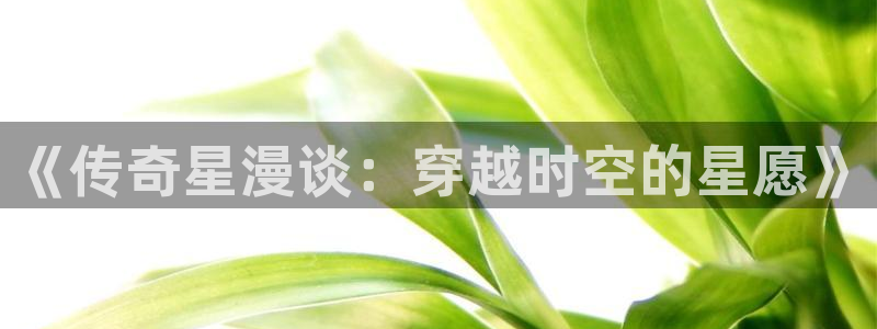 万向娱乐体育和杏耀是哪个公司的：《传奇星漫谈：穿越时空的星愿》
