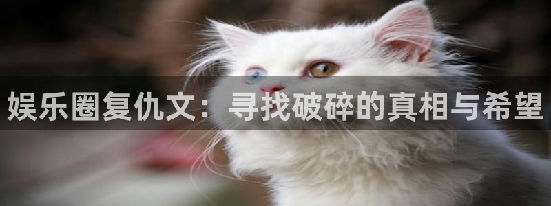 万向娱乐3：娱乐圈复仇文：寻找破碎的真相与希望