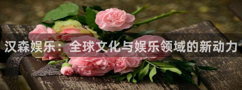 万向娱乐体育app下载：汉森娱乐：全球文化与娱乐领域的新动力